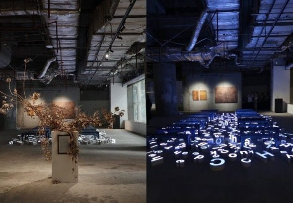 mixcollage-10-nov-2025-08-25-pm-4360_2025-11-10_20-26-35