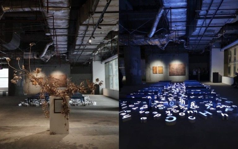 mixcollage-10-nov-2025-08-25-pm-4360_2025-11-10_20-26-35